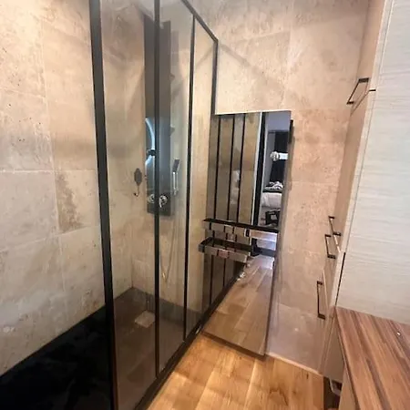 Apartman Jardin Des Plantes Parking Securise Terrasse Et Ascenseur Toulouse