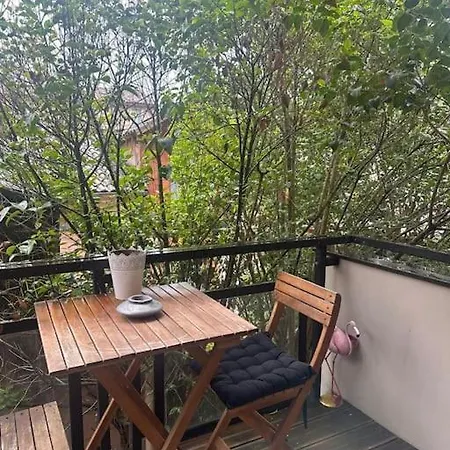 Jardin Des Plantes Parking Securise Terrasse Et Ascenseur Apartamento Toulouse