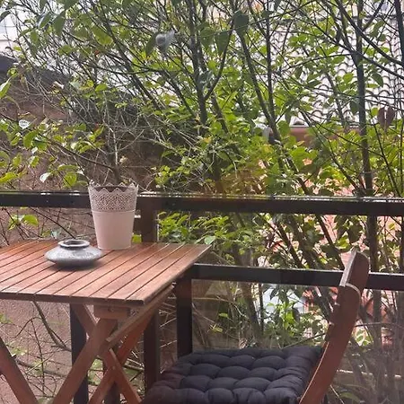 Jardin Des Plantes Parking Securise Terrasse Et Ascenseur *