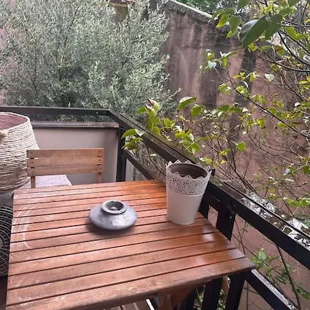 Apartman Jardin Des Plantes Parking Securise Terrasse Et Ascenseur Toulouse