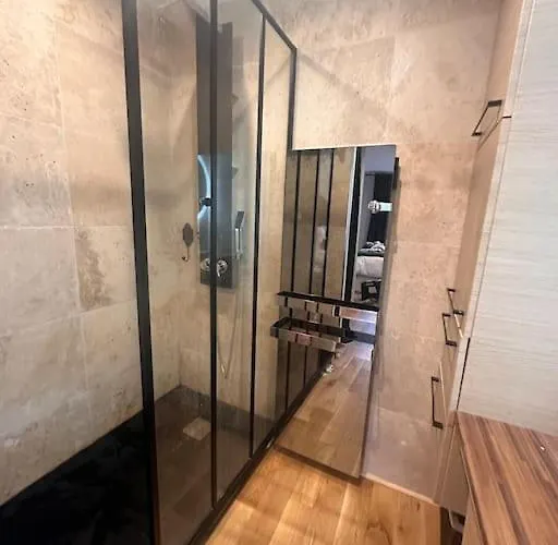 Apartment Jardin Des Plantes Parking Securise Terrasse Et Ascenseur Toulouse