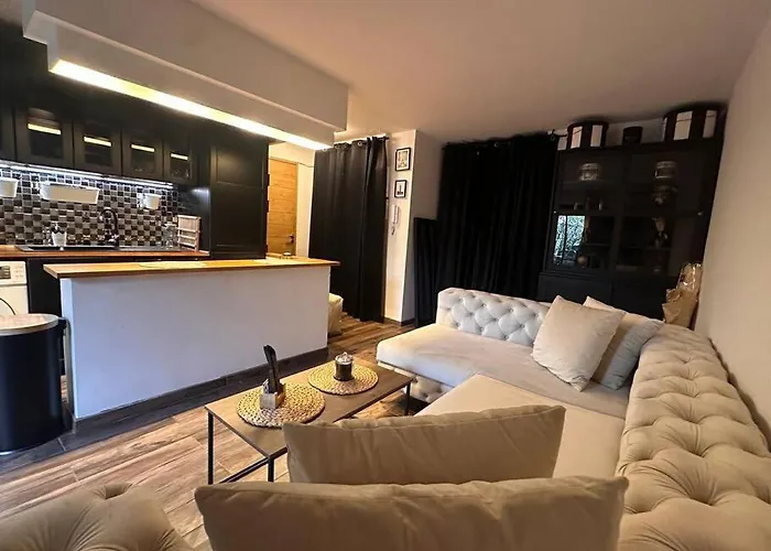 Apartment Jardin Des Plantes Parking Securise Terrasse Et Ascenseur