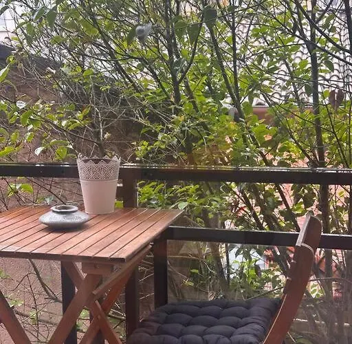 Jardin Des Plantes Parking Securise Terrasse Et Ascenseur *