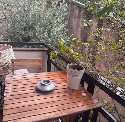 Apartamento Jardin Des Plantes Parking Securise Terrasse Et Ascenseur Toulouse