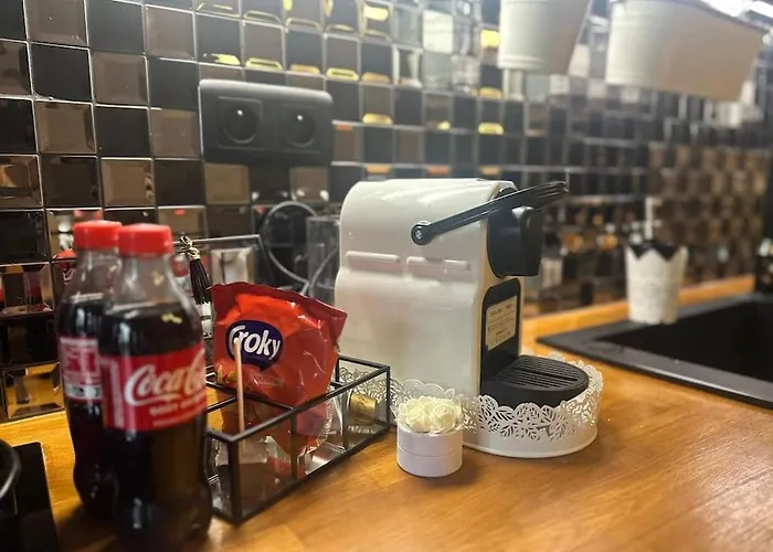 Jardin Des Plantes Parking Securise Terrasse Et Ascenseur * Toulouse